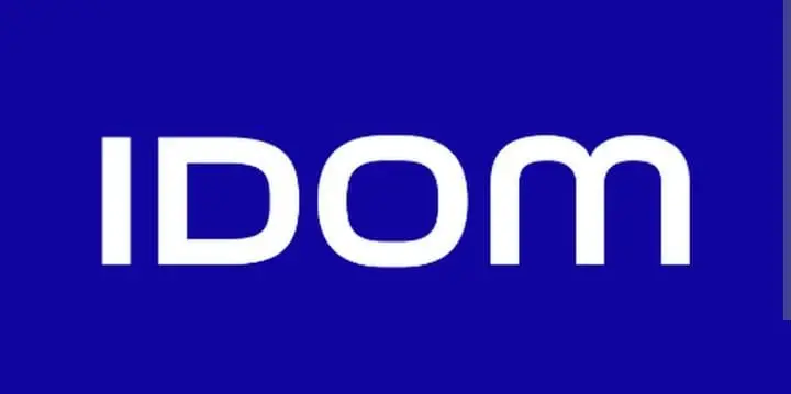 IDOM Piping Engineer